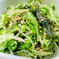 U☆kaoru's cooksnap of when they made 水菜とわかめのナムル【作り置き】.