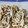 azbjbn's cooksnap of when they made しめじの保存方法.