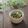 まろんかふぇ's cooksnap of when they made 春菊嫌いさんにも♪春菊のツナ和え.