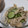 fu♪♪'s cooksnap of when they made きのこときゅうりのナムル.