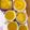 Ｎよんよん's cooksnap of when they made オレンジジュースの寒天ゼリー☆.