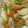 hina＆coMAM's cooksnap of when they made お箸が止まらない〜竹輪と蕪の甘辛炒め.