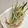 ☆＊お家グルメ工房＊☆'s cooksnap of when they made 野菜の精進揚げ.