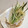 ☆＊お家グルメ工房＊☆'s cooksnap of when they made 野菜の精進揚げ.