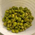 vivianj's cooksnap of when they made 青大豆～我が家の茹で方.