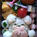 まなpin's cooksnap of when they made 簡単キャラ弁♡すみっコぐらしのしろくま.