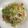geranium♪'s cooksnap of when they made 塩焼きそば.