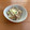 ✼mimosa✼'s cooksnap of when they made 赤大根と林檎のサラダ.