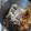 カービィキング's cooksnap of when they made 息子に伝授☆うちの簡単牛丼☆時短.