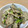 はちみつかなこ's cooksnap of when they made 簡単！レンコンとツナのさっぱり炒め.