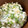 lily…♡'s cooksnap of when they made 離乳食完了期・オクラときゅうりの白和え丼.