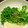 ケーゼトラウト's cooksnap of when they made 豆苗の胡麻マヨ和え.