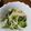 ramieru's cooksnap of when they made 新玉ねぎとブロッコリーのG.ツナマヨポン.