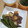 2児ママみきてぃ's cooksnap of when they made 超簡単！ししとう炒め.