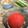 saki1010's cooksnap of when they made さっぱり♪トマトの冷た～いだし浸し.