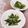クックHG9V8Y☆'s cooksnap of when they made さつまいもの葉っぱ炒め煮.