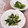 クックHG9V8Y☆'s cooksnap of when they made さつまいもの葉っぱ炒め煮.