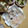 よちりん's cooksnap of when they made 玉ねぎと紅しょうがの天ぷら.