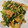 me8u3i's cooksnap of when they made きのことニラのキムチ炒め.