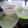おにぎりママ's cooksnap of when they made とろける～♪抹茶ぷりん.