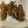 クック81NK9U☆'s cooksnap of when they made ♪ スパイシー！カリカリカレーえのき ♪.