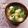 クックHG9V8Y☆'s cooksnap of when they made 小松菜と油揚げと豆腐の味噌汁.