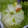 クックJOEさん's cooksnap of when they made 超気持ちイイ✰　　レタスの芯のとり方♪.
