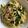 糖質OFF✿聖紫花✿'s cooksnap of when they made 簡単＊基本の和風パスタ.