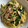 糖質OFF✿聖紫花✿'s cooksnap of when they made 簡単＊基本の和風パスタ.