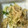 ココアLoveママ's cooksnap of when they made 切り干し大根ときゅうりの生姜入り中華和え.