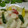 mielle's cooksnap of when they made 彩り野菜の海鮮中華塩炒め.