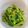 azbjbn's cooksnap of when they made 5分で完成！菜の花の塩麹ナムル.