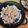 なっさん姫's cooksnap of when they made ご飯がすすむ♪　豚コマのマヨ醤油炒め.