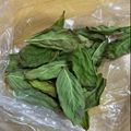 まみぷーこ's cooksnap of when they made チンして簡単！黒くならない乾燥バジル保存.