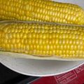 うたはち's cooksnap of when they made レンジで簡単甘くなるトウモロコシの茹で方.