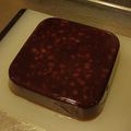 きょこすけ's cooksnap of when they made 寒天とあんこで作れる粒あんようかん.