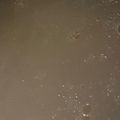 MULA's cooksnap of when they made 鶏のゆで汁でチキンスープ.
