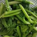 クックBIG8F8☆'s cooksnap of when they made 菜の花の美味しい茹で方✿.