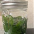Tomi103's cooksnap of when they made 絶対役立つ！果実酒④「ミント酒｣.