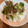 よしみゆき's cooksnap of when they made 葱たっぷり台湾定番料理★葱と牛肉の炒め物.