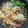 庵chai's cooksnap of when they made 残ったカレーで簡単旨カレーうどん(蕎麦).