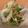 もものすけのまま's cooksnap of when they made 蕪の梅和え.