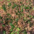 kouchan310's cooksnap of when they made 疲労回復に！ニラ豚挽肉のスタミナ丼.
