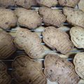 ユキエ１８号's cooksnap of when they made ❀さくさく♫黒糖クッキー❀.
