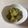 クック2OAVIC☆'s cooksnap of when they made レンジで超簡単！とろける様なズッキーニ.