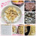 しーくれっと・らいふ's cooksnap of when they made ☆鶏とごぼうの混ぜご飯☆.