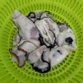 大魔女's cooksnap of when they made 牡蠣をピカピカに洗う方法（下処理）.