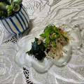 Laufen's cooksnap of when they made もやしは便利☆もやし若布のゆかり和え.