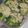monogram's cooksnap of when they made ササミとブロッコリーと茹で卵のサラダ.