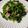 Soirate28's cooksnap of when they made ほうれん草とベーコン炒めじゃなくてサラダ.